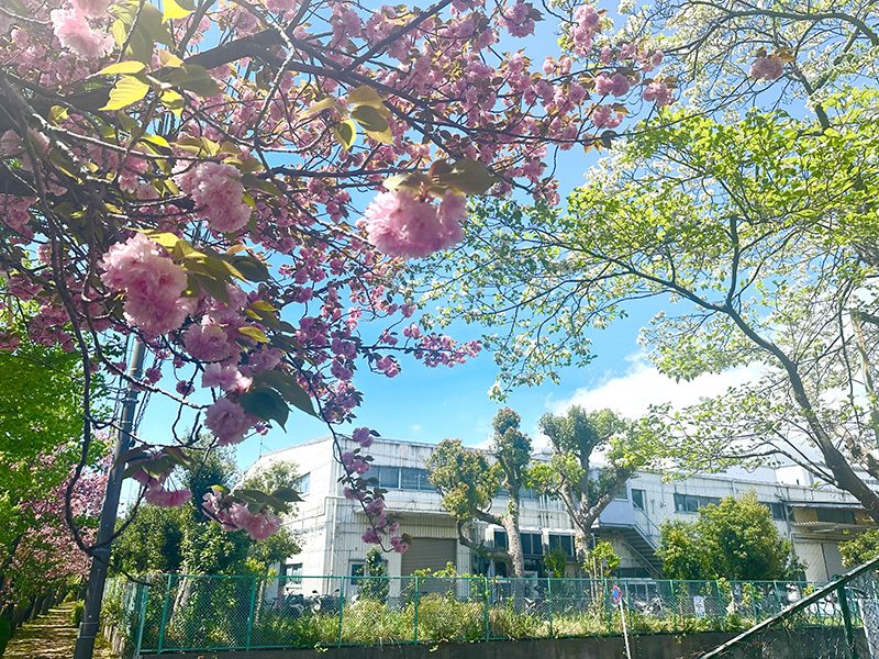 経営理念・会社概要・沿革のイメージ画像